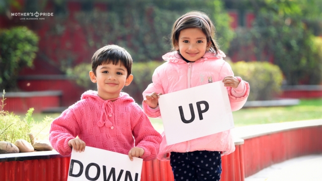CUTE PRIDEENS EXCITEDLY LEARN CONCEPT OF UP & DOWN