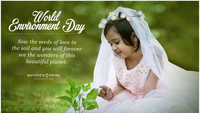 ENVIRONMENT DAY: LET YOUR LOVE FOR THE EARTH BLOSSOM ALL FLOWERS