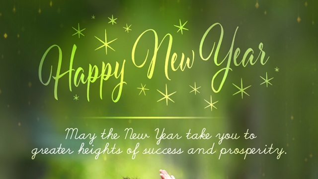 MAY THIS NEW YEAR BRINGS YOU NEW HAPPINESS AND ASPIRATIONS!
